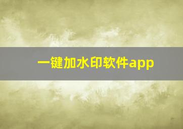 一键加水印软件app