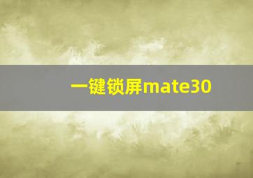 一键锁屏mate30