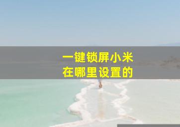 一键锁屏小米在哪里设置的