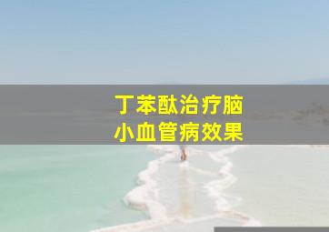 丁苯酞治疗脑小血管病效果