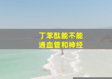 丁苯酞能不能通血管和神经