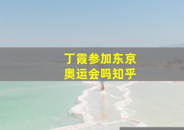 丁霞参加东京奥运会吗知乎