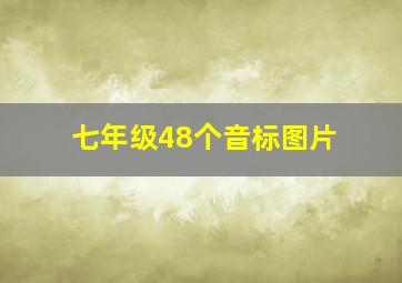 七年级48个音标图片