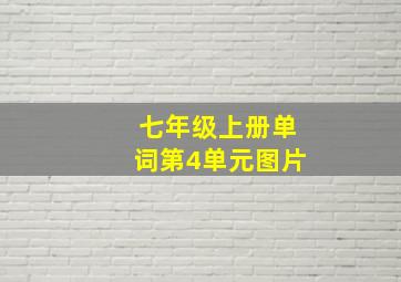 七年级上册单词第4单元图片