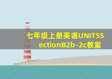 七年级上册英语UNIT5SectionB2b-2c教案