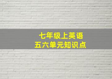 七年级上英语五六单元知识点