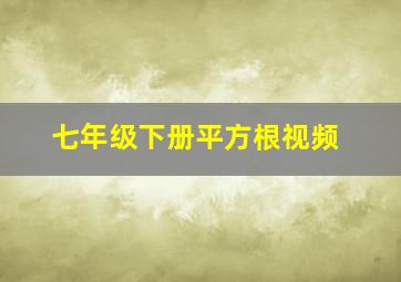 七年级下册平方根视频