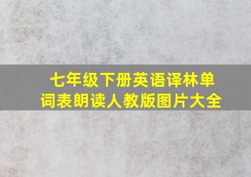 七年级下册英语译林单词表朗读人教版图片大全