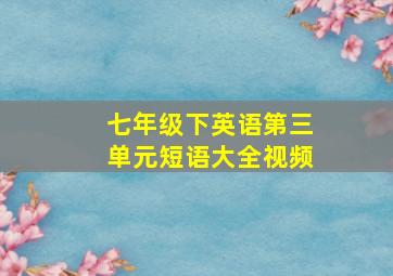 七年级下英语第三单元短语大全视频