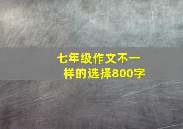 七年级作文不一样的选择800字