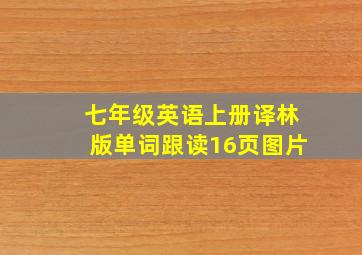 七年级英语上册译林版单词跟读16页图片