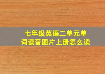 七年级英语二单元单词读音图片上册怎么读