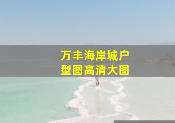 万丰海岸城户型图高清大图