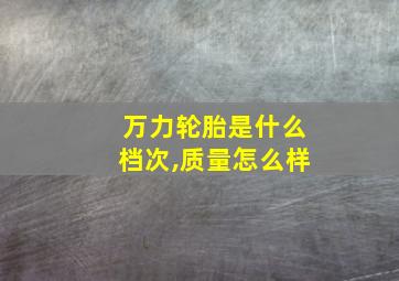 万力轮胎是什么档次,质量怎么样