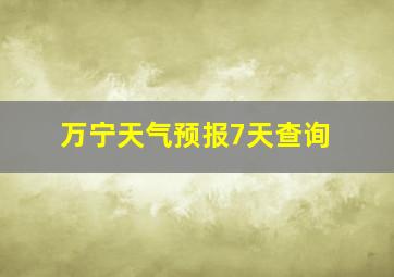 万宁天气预报7天查询