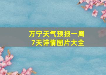 万宁天气预报一周7天详情图片大全