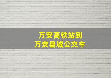 万安高铁站到万安县城公交车