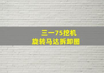 三一75挖机旋转马达拆卸图