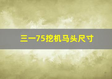 三一75挖机马头尺寸