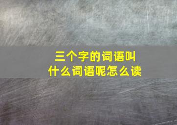 三个字的词语叫什么词语呢怎么读