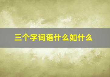 三个字词语什么如什么