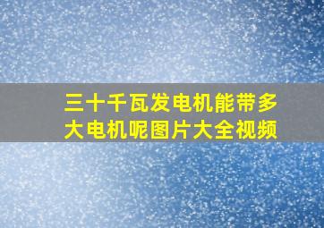 三十千瓦发电机能带多大电机呢图片大全视频