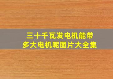 三十千瓦发电机能带多大电机呢图片大全集