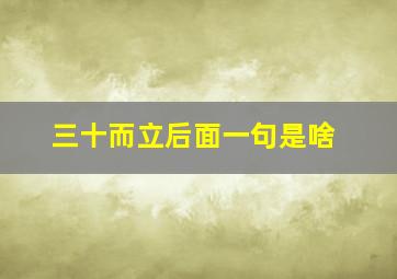 三十而立后面一句是啥