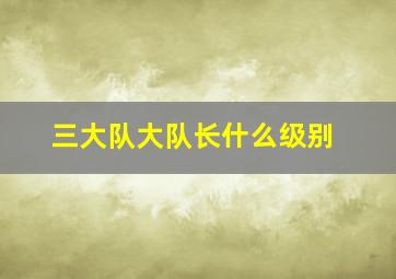 三大队大队长什么级别