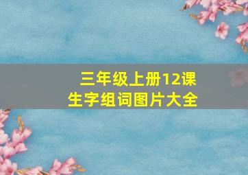 三年级上册12课生字组词图片大全