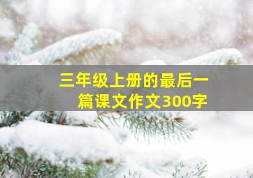 三年级上册的最后一篇课文作文300字