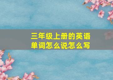 三年级上册的英语单词怎么说怎么写