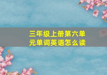 三年级上册第六单元单词英语怎么读