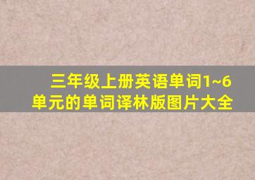 三年级上册英语单词1~6单元的单词译林版图片大全