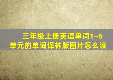 三年级上册英语单词1~6单元的单词译林版图片怎么读