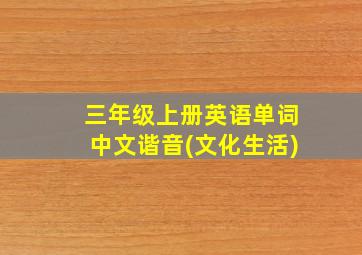 三年级上册英语单词中文谐音(文化生活)