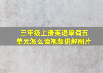 三年级上册英语单词五单元怎么读视频讲解图片