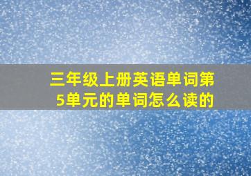 三年级上册英语单词第5单元的单词怎么读的