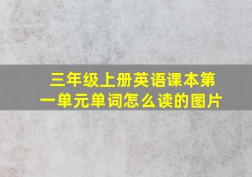 三年级上册英语课本第一单元单词怎么读的图片