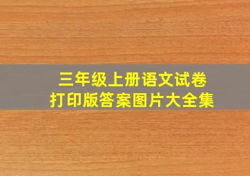 三年级上册语文试卷打印版答案图片大全集