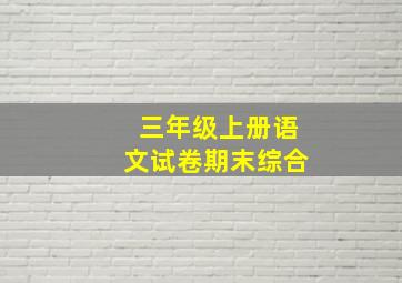 三年级上册语文试卷期末综合