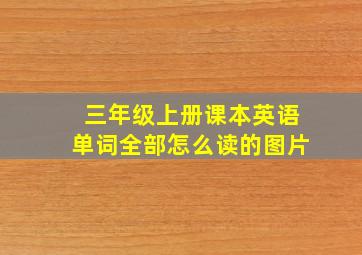 三年级上册课本英语单词全部怎么读的图片