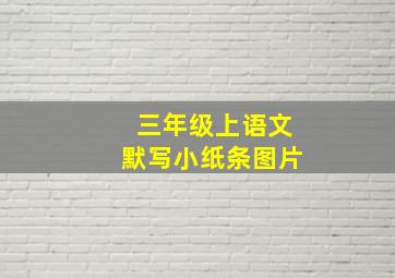 三年级上语文默写小纸条图片