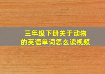 三年级下册关于动物的英语单词怎么读视频