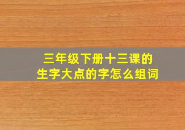 三年级下册十三课的生字大点的字怎么组词