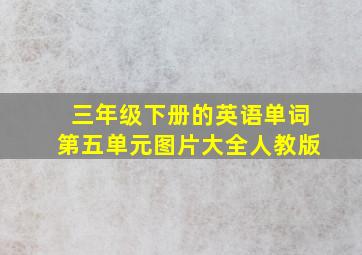 三年级下册的英语单词第五单元图片大全人教版