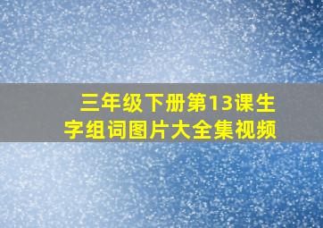 三年级下册第13课生字组词图片大全集视频