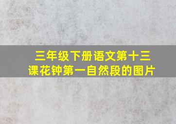 三年级下册语文第十三课花钟第一自然段的图片