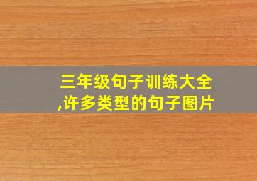 三年级句子训练大全,许多类型的句子图片