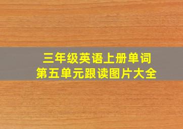 三年级英语上册单词第五单元跟读图片大全